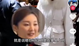 陈亚楠身价爆料视频播放,视频播放量背后的惊人数字